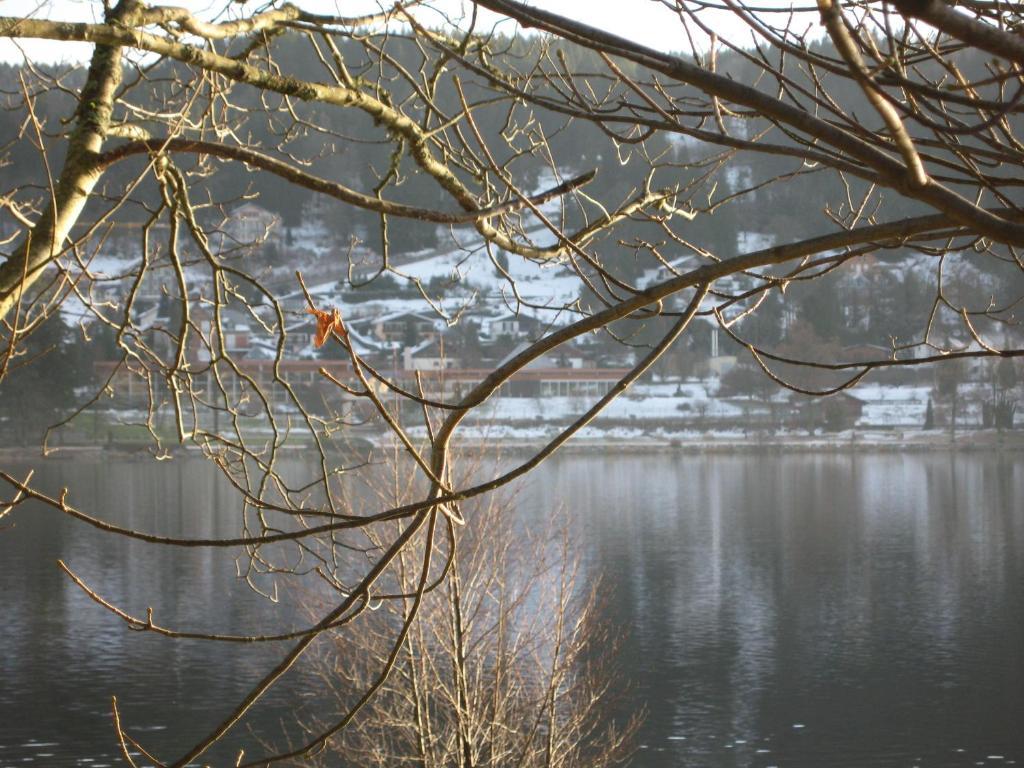 Hotel Restaurant De La Poste A Gérardmer Rom bilde